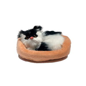 GATITO CON SONIDO