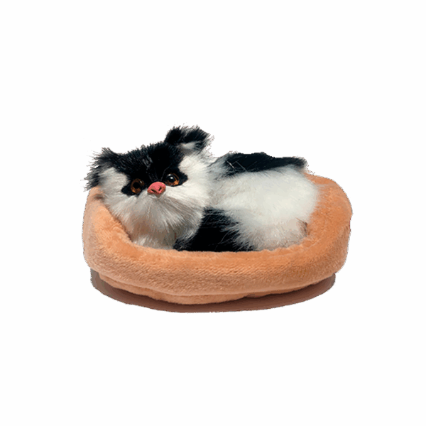 GATITO CON SONIDO